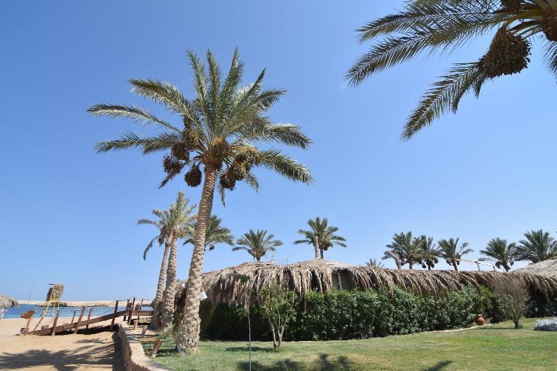 Sharm El Naga Resort And Diving Center Hurghada Exteriér fotografie