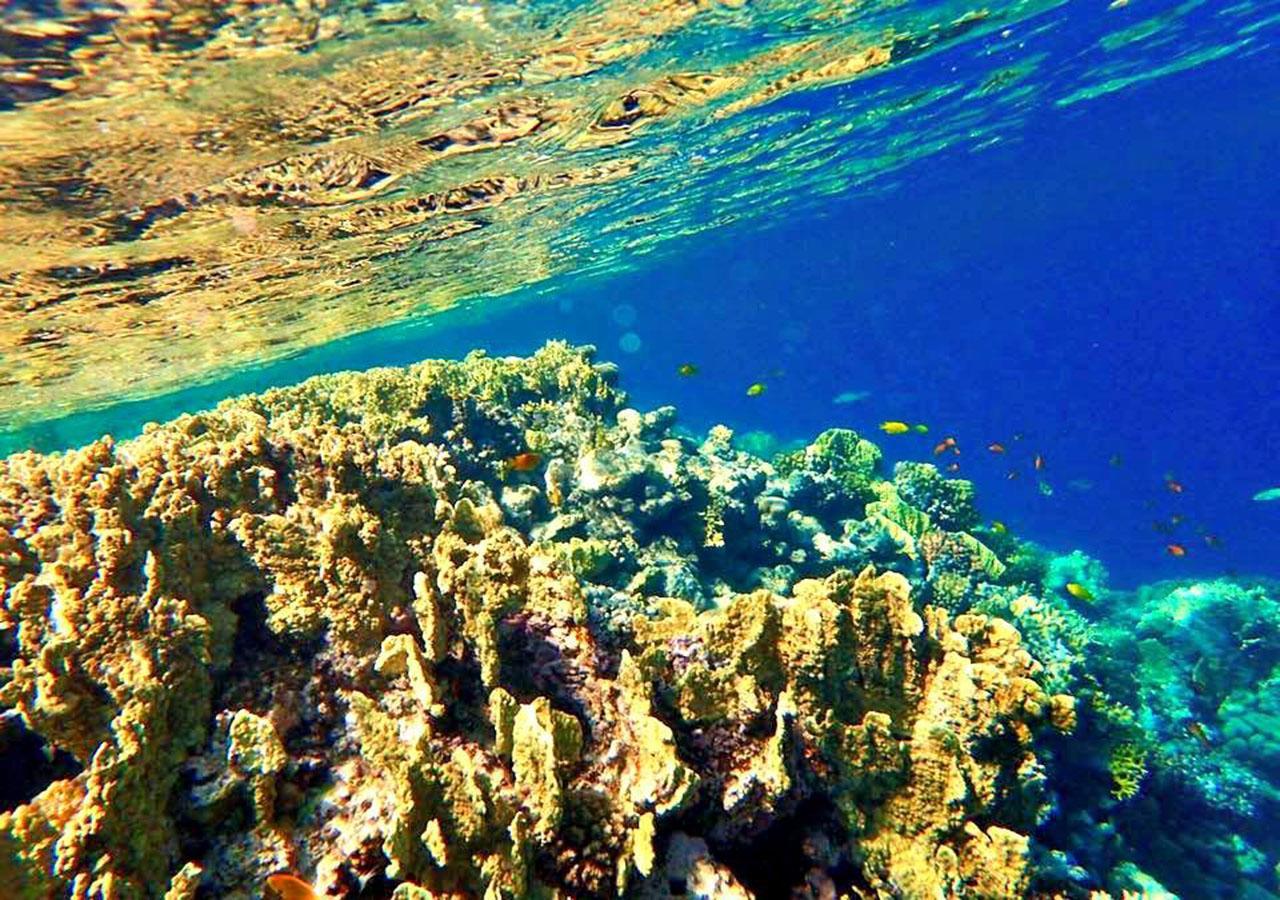 Sharm El Naga Resort And Diving Center Hurghada Exteriér fotografie