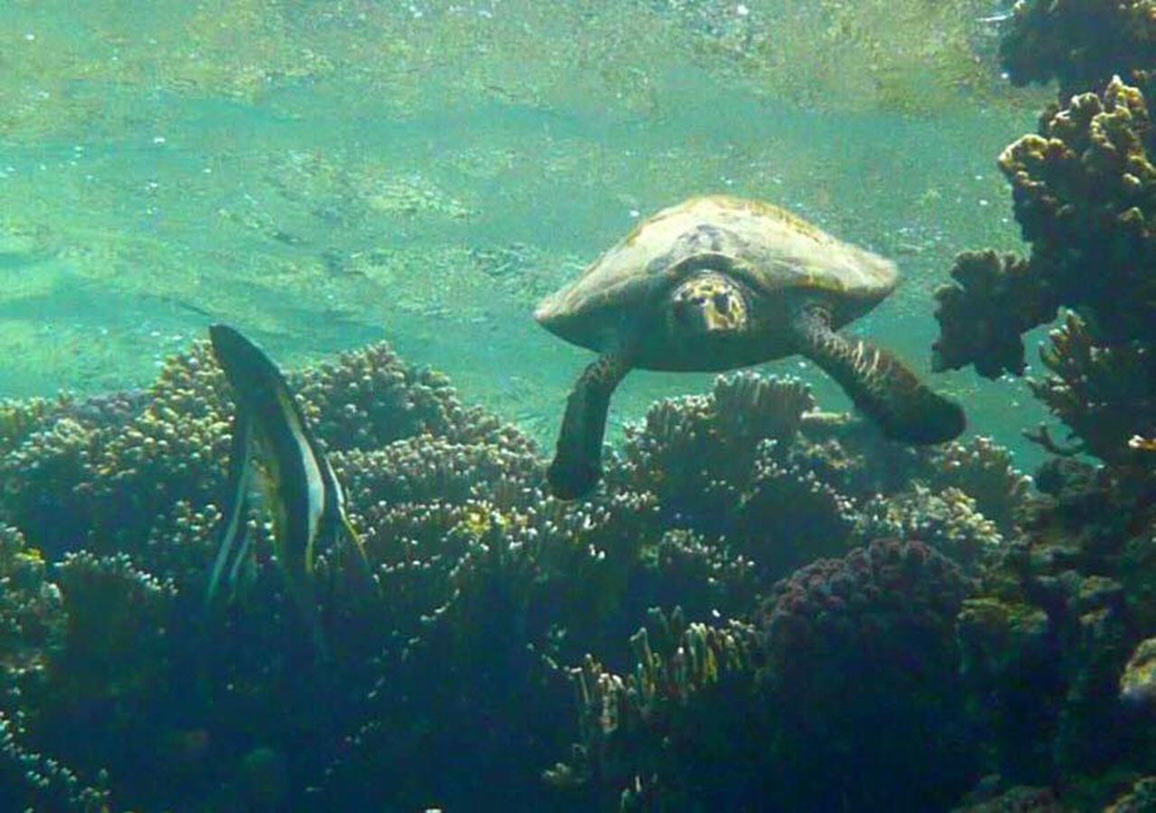 Sharm El Naga Resort And Diving Center Hurghada Exteriér fotografie