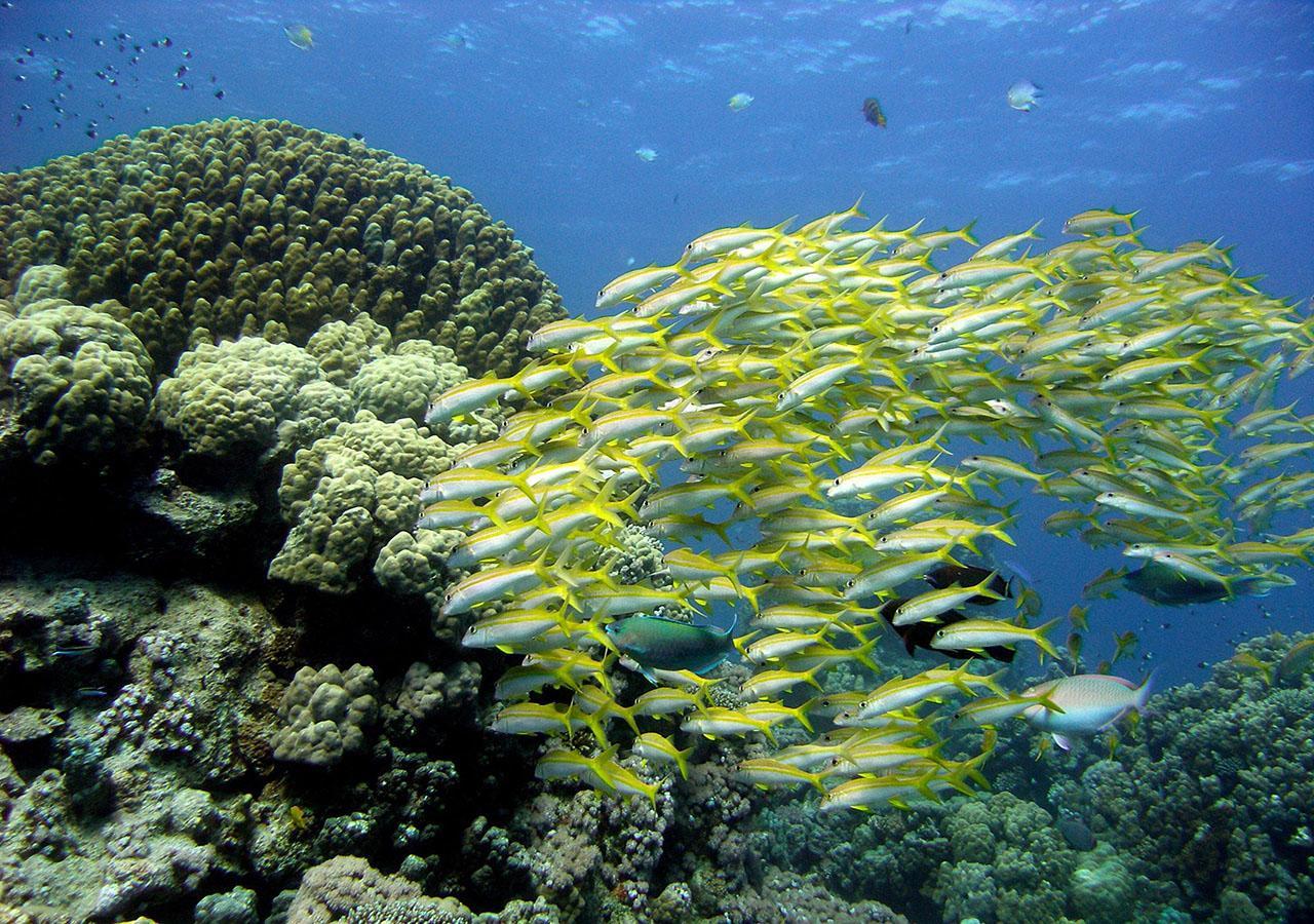 Sharm El Naga Resort And Diving Center Hurghada Exteriér fotografie
