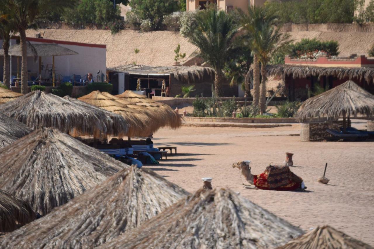 Sharm El Naga Resort And Diving Center Hurghada Exteriér fotografie
