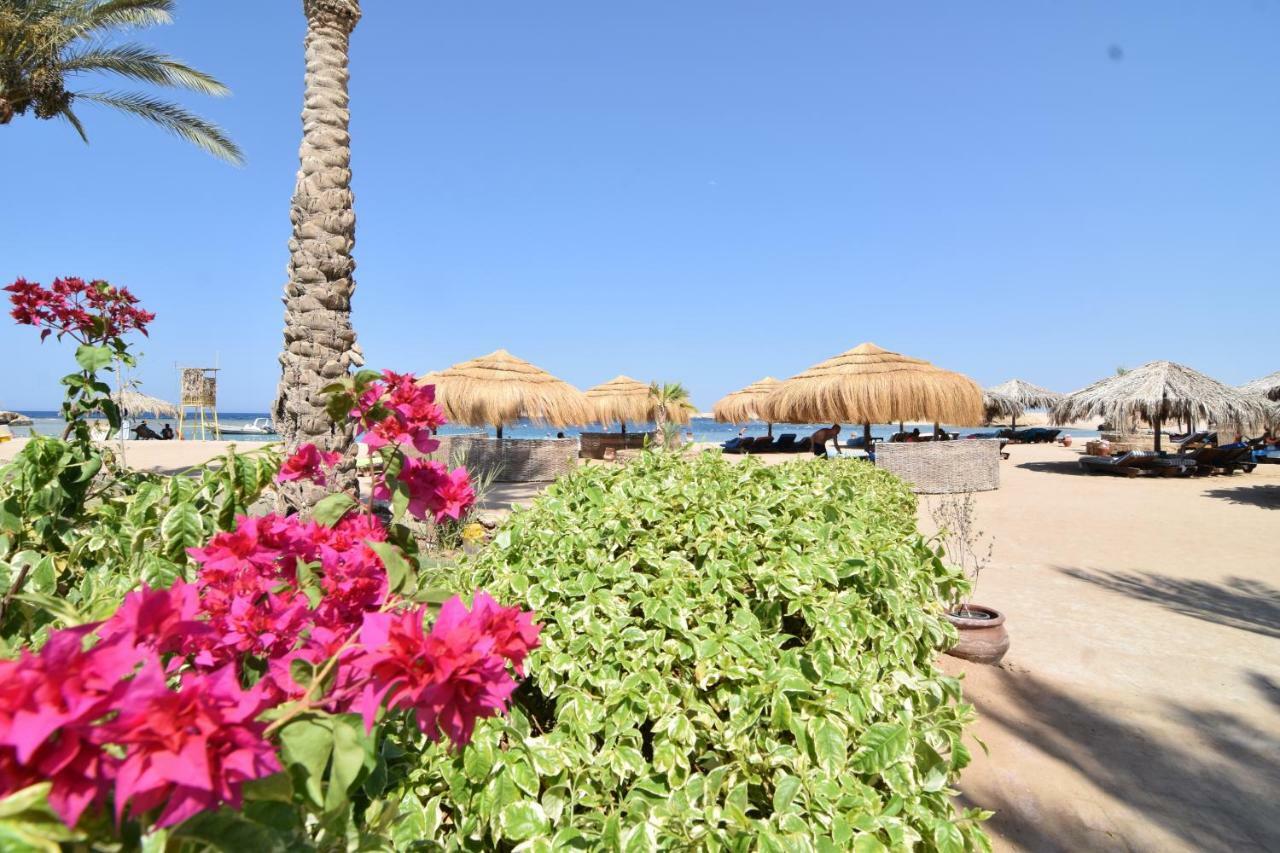 Sharm El Naga Resort And Diving Center Hurghada Exteriér fotografie